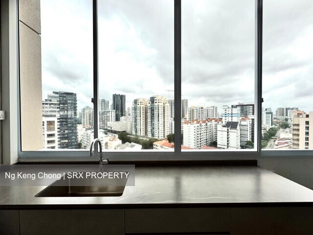 Balestier Point (D12), Apartment #542205741